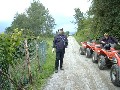 p1000545.jpg