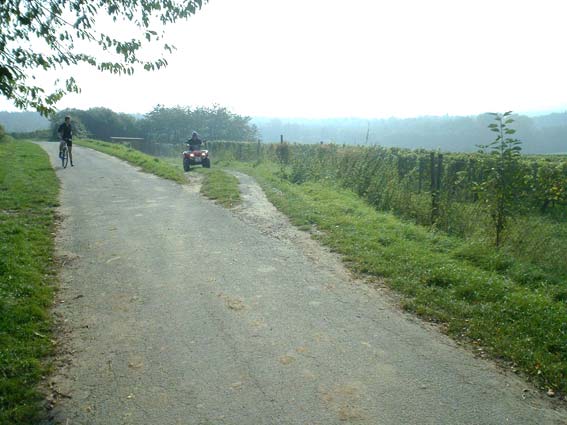 p1000275.jpg